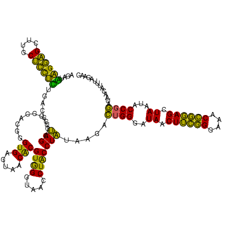 secondary structure