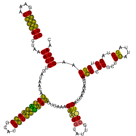 secondary structure