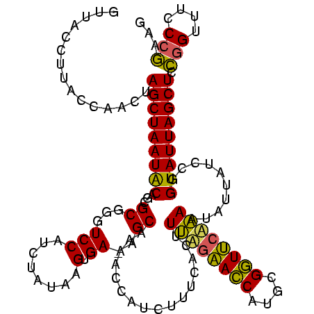 secondary structure
