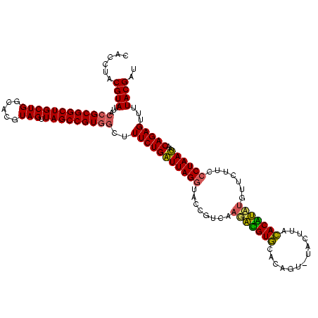 secondary structure