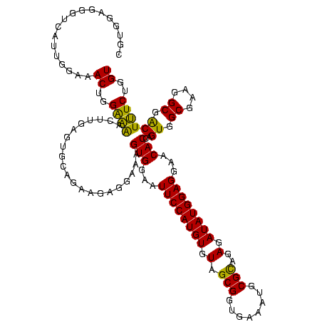secondary structure