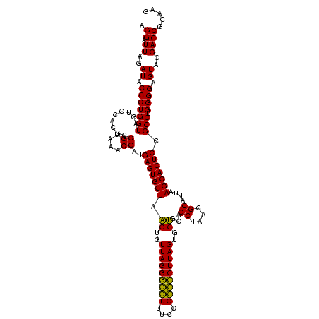 secondary structure