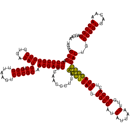 secondary structure
