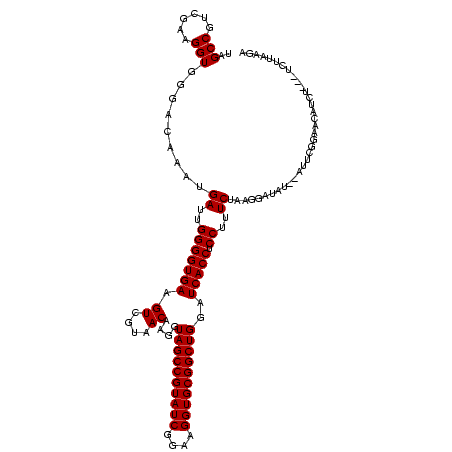 secondary structure