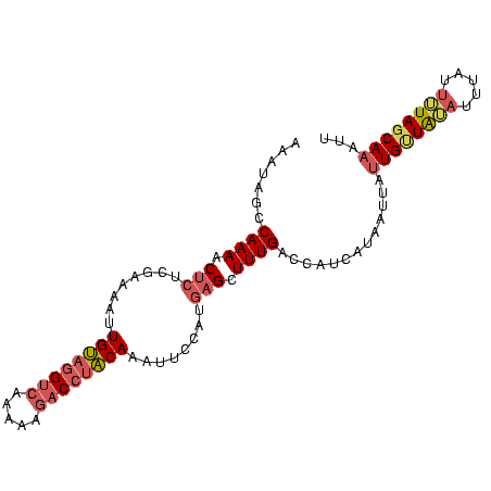 secondary structure