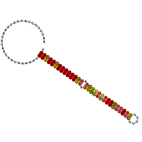secondary structure