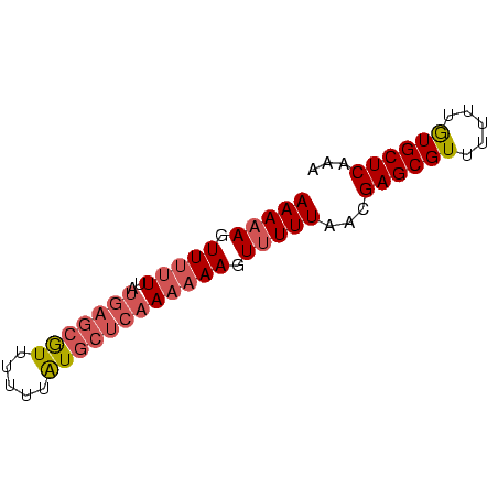 secondary structure