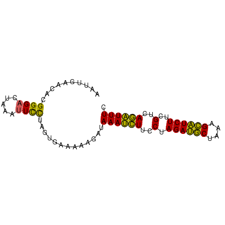 secondary structure