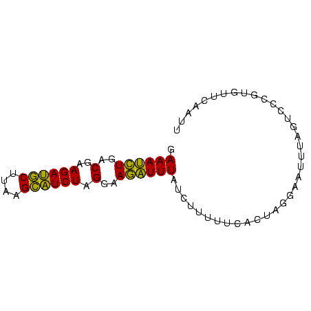 secondary structure