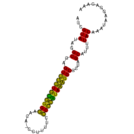 secondary structure