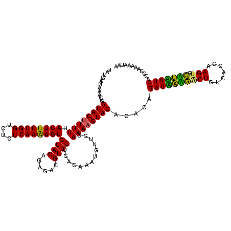 secondary structure