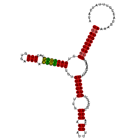 secondary structure