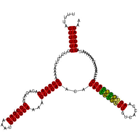 secondary structure