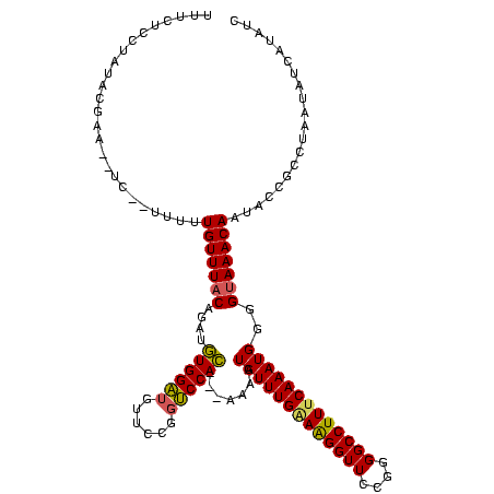 secondary structure