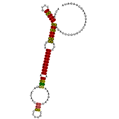 secondary structure