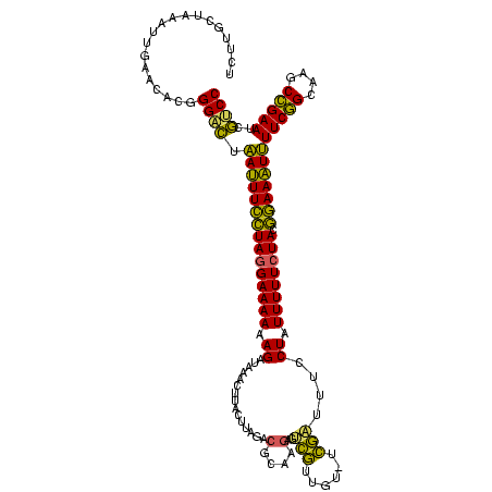 secondary structure