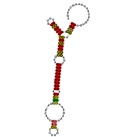 secondary structure