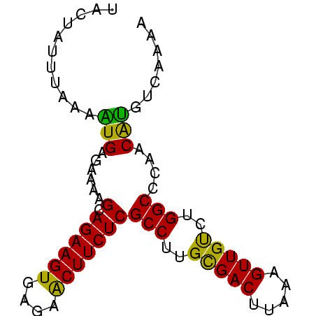 secondary structure