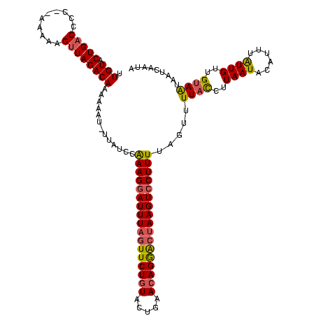 secondary structure