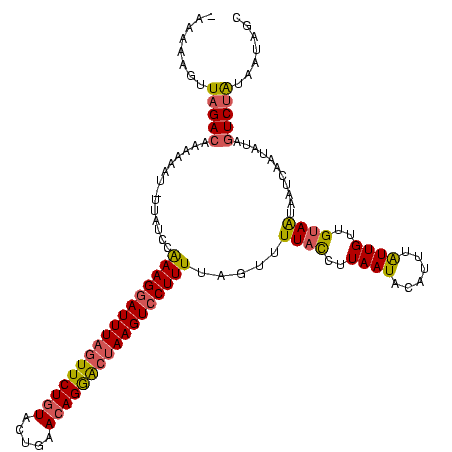secondary structure