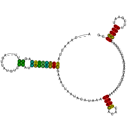 secondary structure