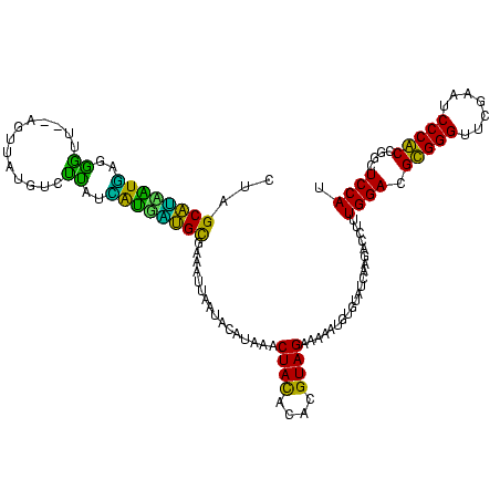 secondary structure