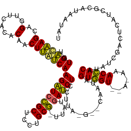 secondary structure