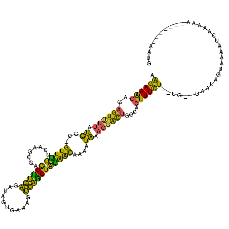 secondary structure