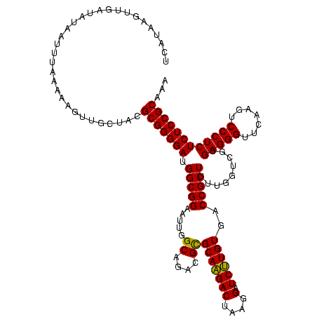 secondary structure