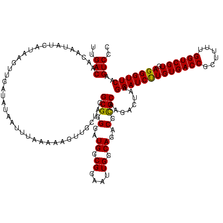 secondary structure