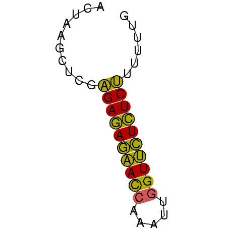 secondary structure