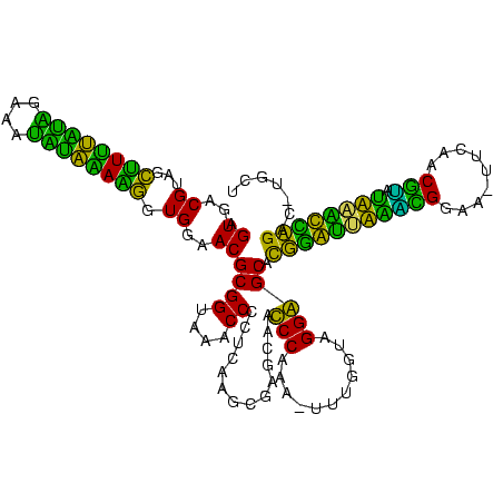 secondary structure
