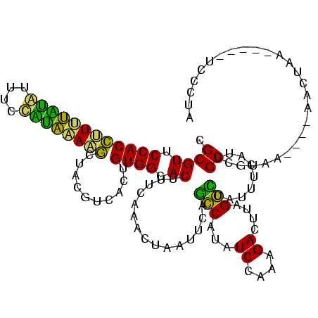 secondary structure