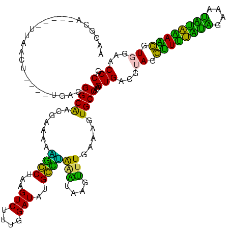 secondary structure