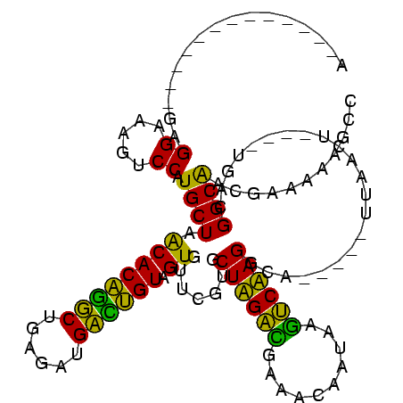 secondary structure