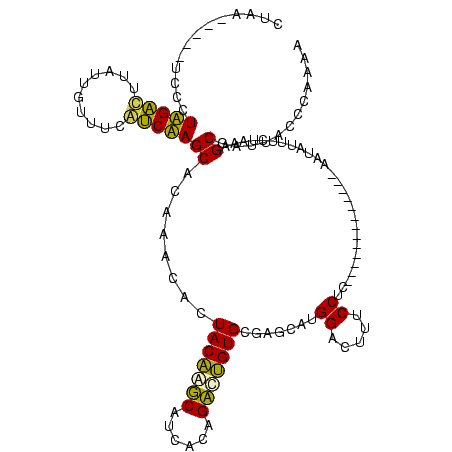secondary structure