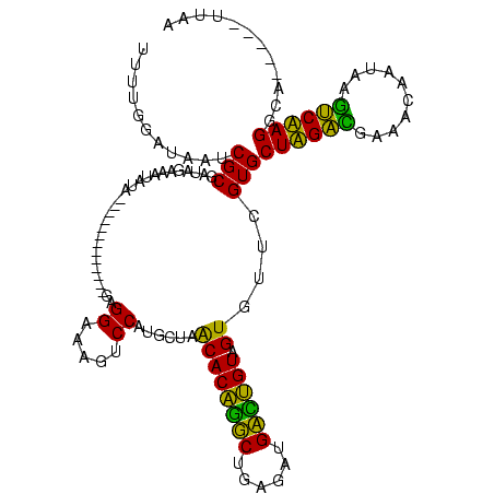 secondary structure