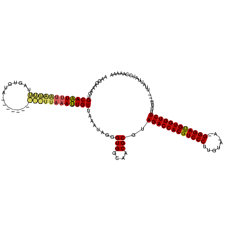 secondary structure