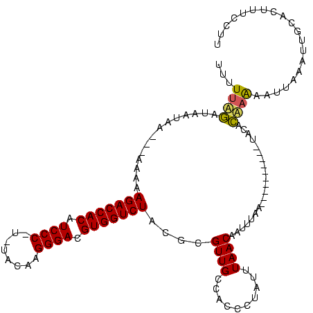 secondary structure
