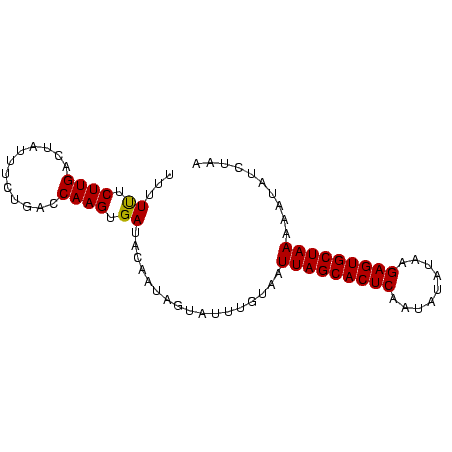 secondary structure