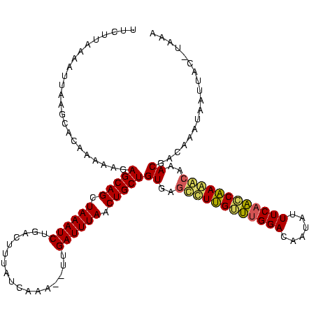 secondary structure