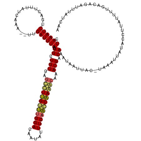 secondary structure