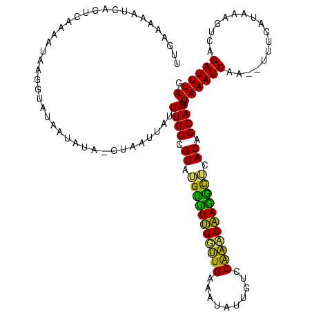 secondary structure