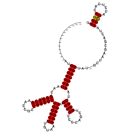 secondary structure