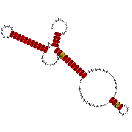 secondary structure