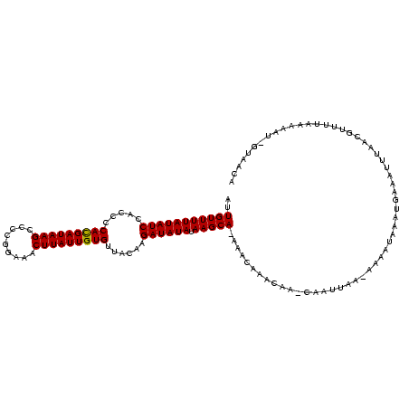 secondary structure