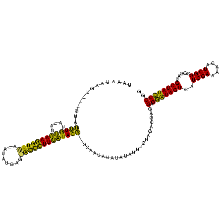 secondary structure