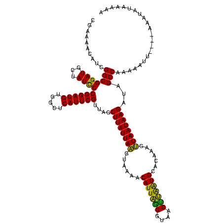 secondary structure