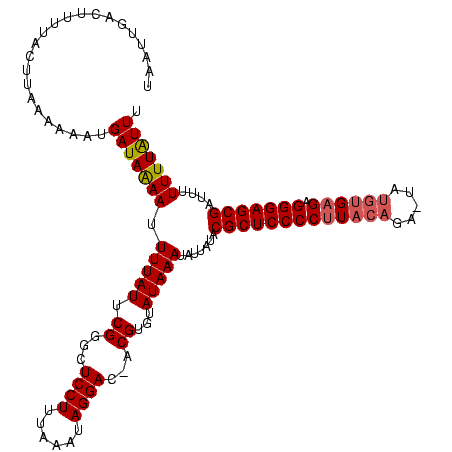 secondary structure