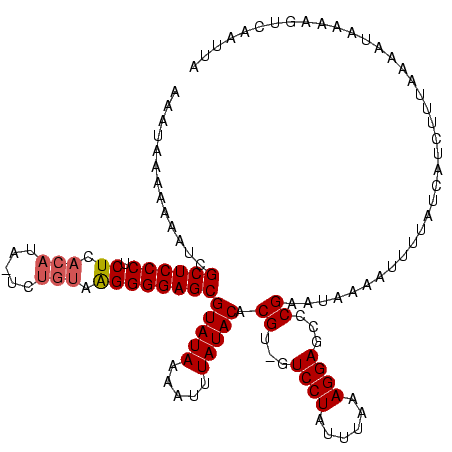 secondary structure